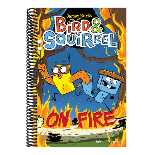 Bird & Squirrel on Fire: A Graphic Novel (Bird & Squirrel #4)