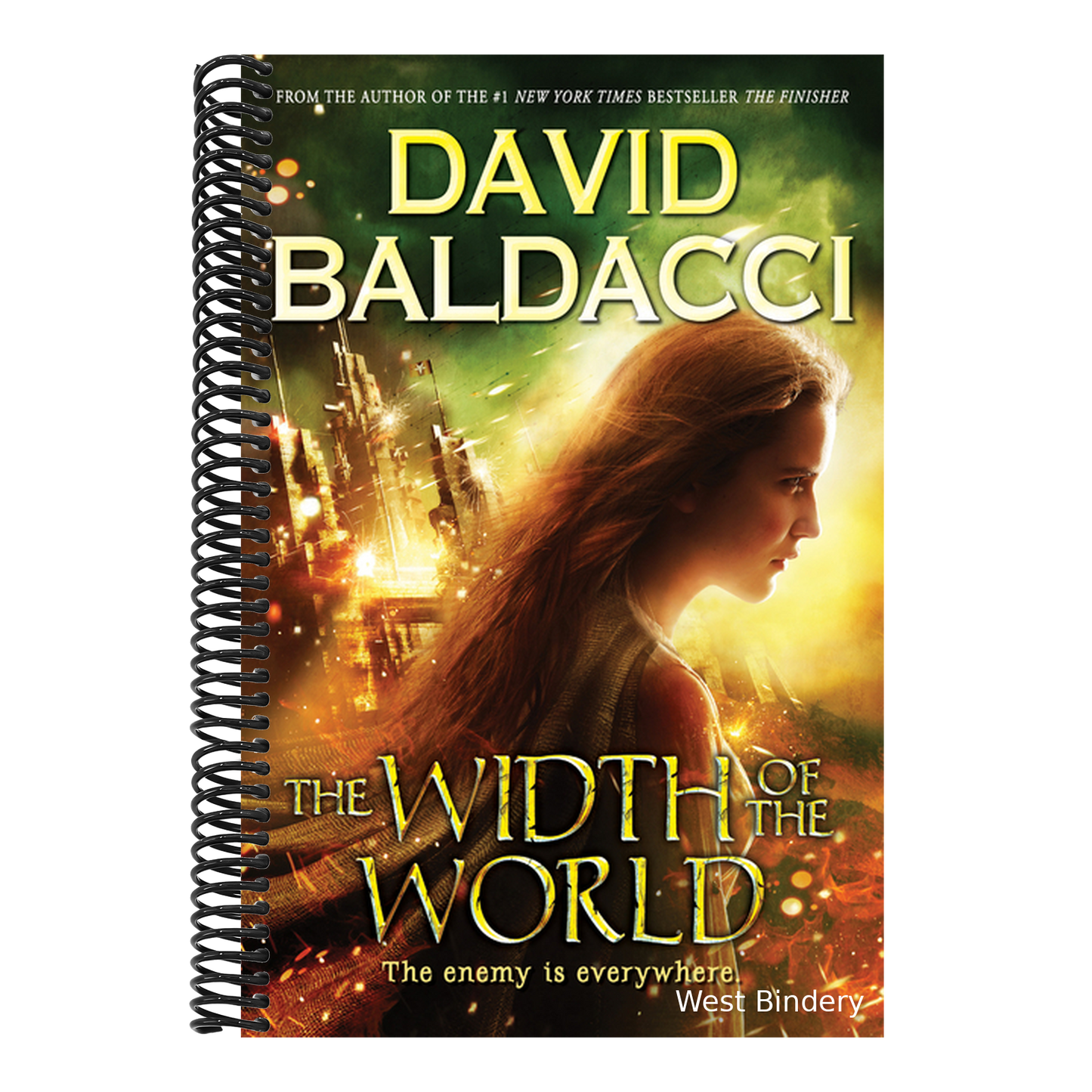 The Width of the World (Vega Jane, Book 3): Volume 3
