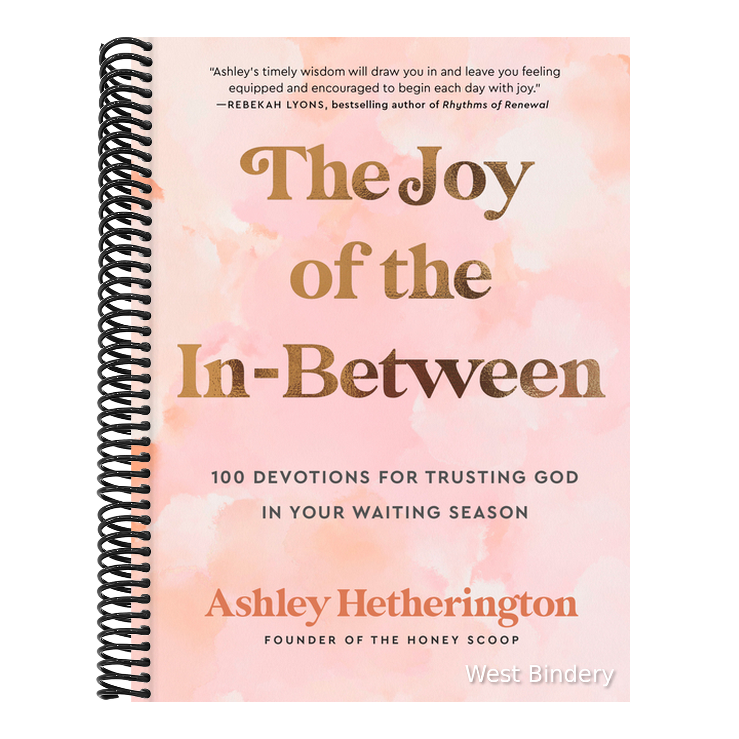 The Joy of the In-Between: 100 Devotions for Trusting God in Your Waiting Season: A Devotional