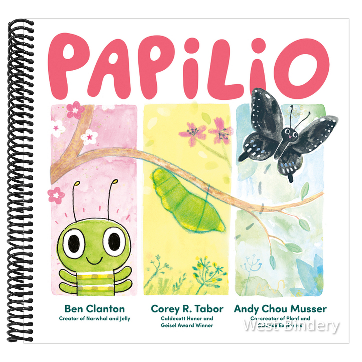 Papilio