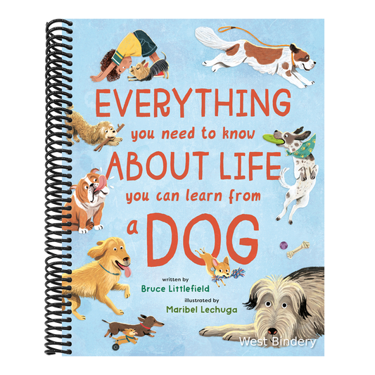 Everything You Need to Know about Life You Can Learn from a Dog