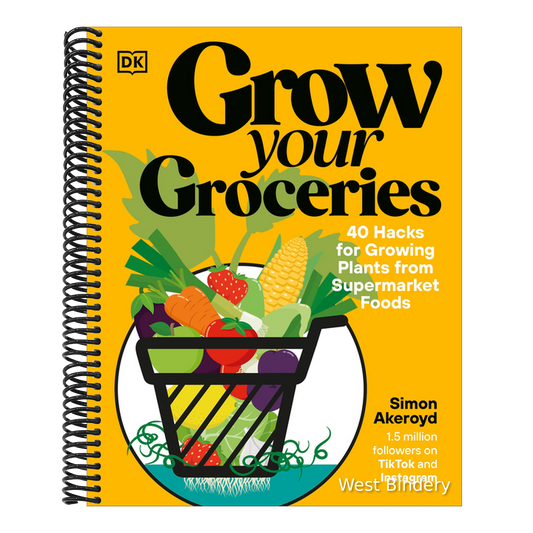 Grow Your Groceries: 40 Hacks for Growing Plants from Supermarket Foods