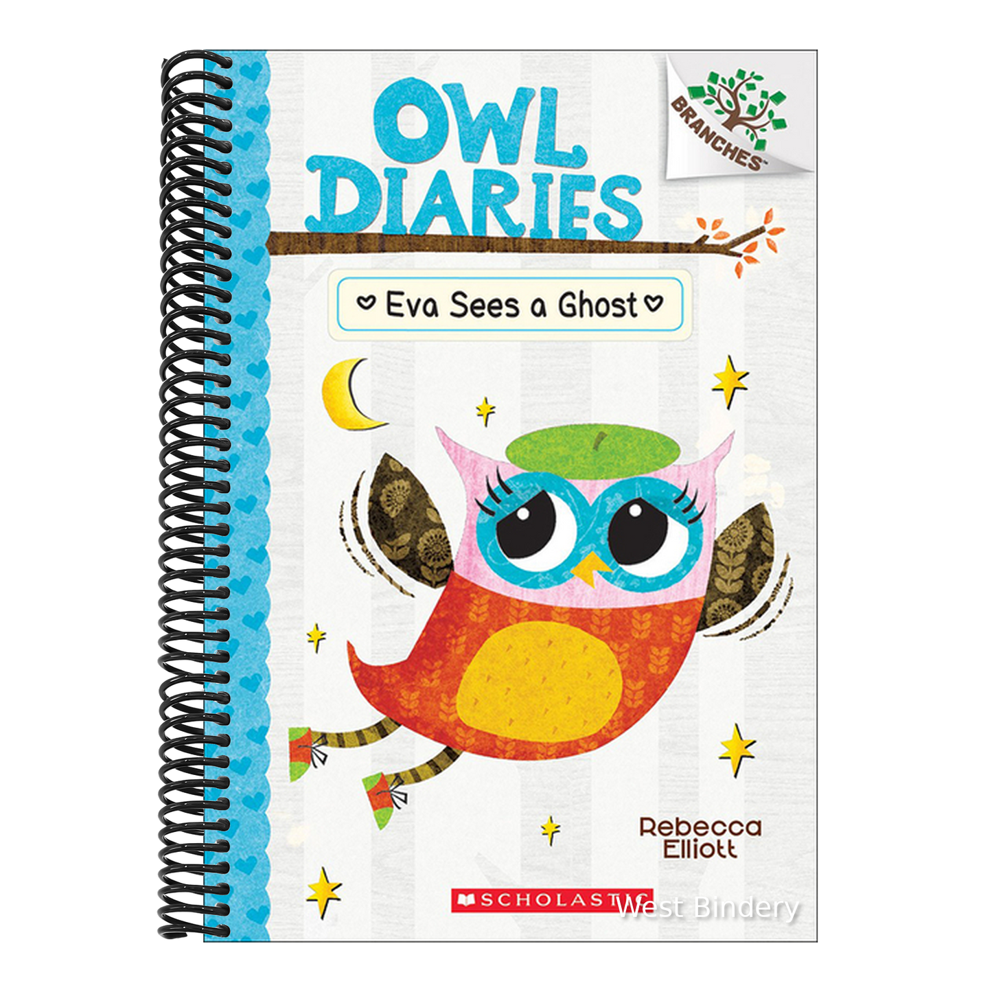 Eva Sees a Ghost (Bound for Schools & Libraries)