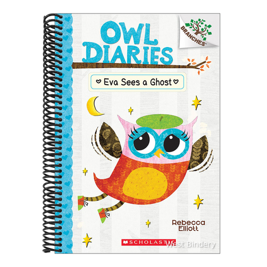 Eva Sees a Ghost (Bound for Schools & Libraries)