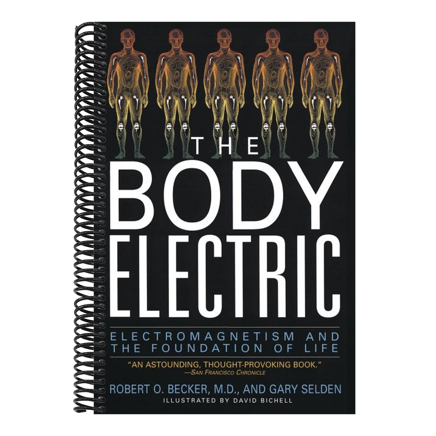 The Body Electric: Electromagnetism and the Foundation of Life
