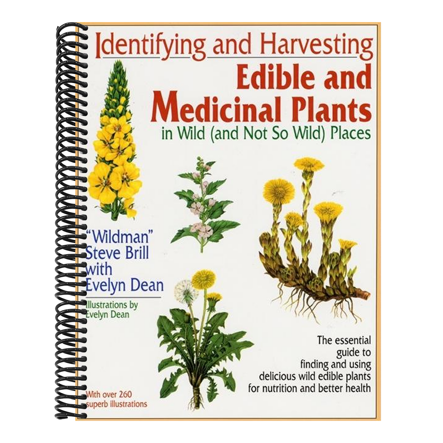 Identifying and Harvesting Edible and Medicinal Plants