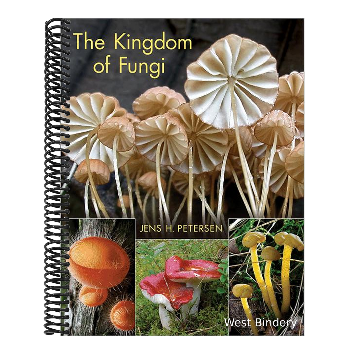 The Kingdom of Fungi