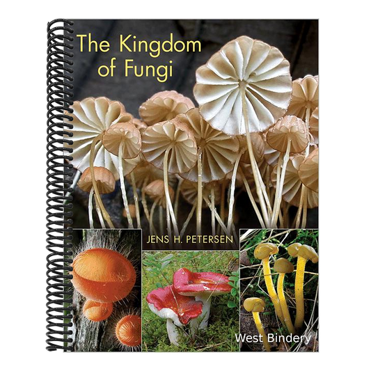 The Kingdom of Fungi