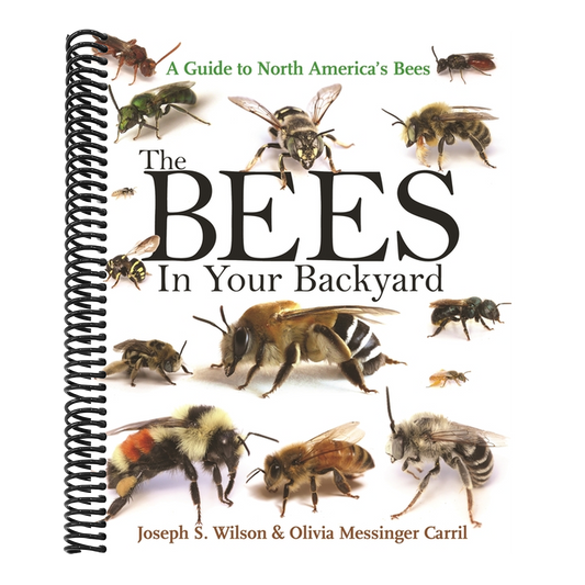 The Bees in Your Backyard: A Guide to North America's Bees