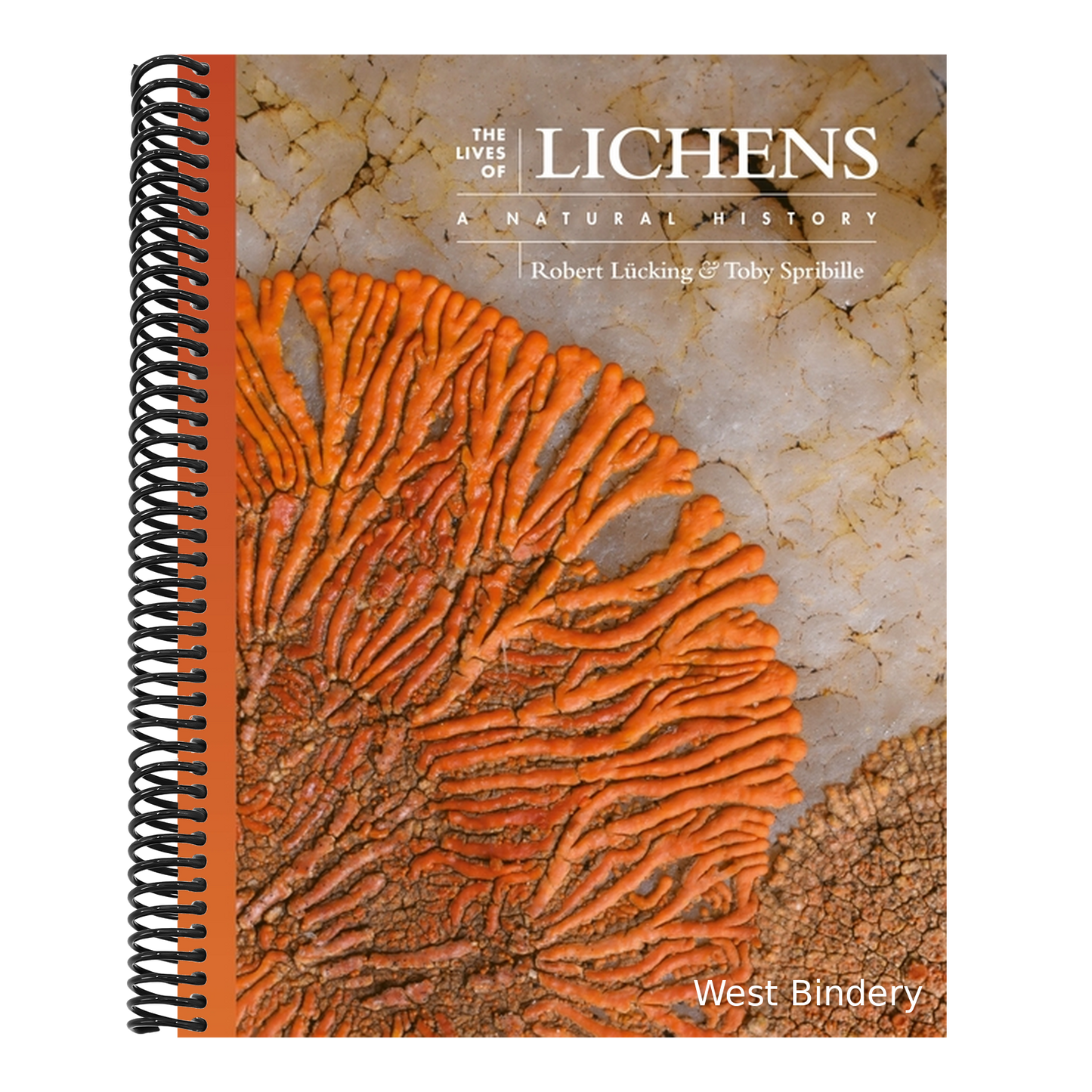 The Lives of Lichens: A Natural History