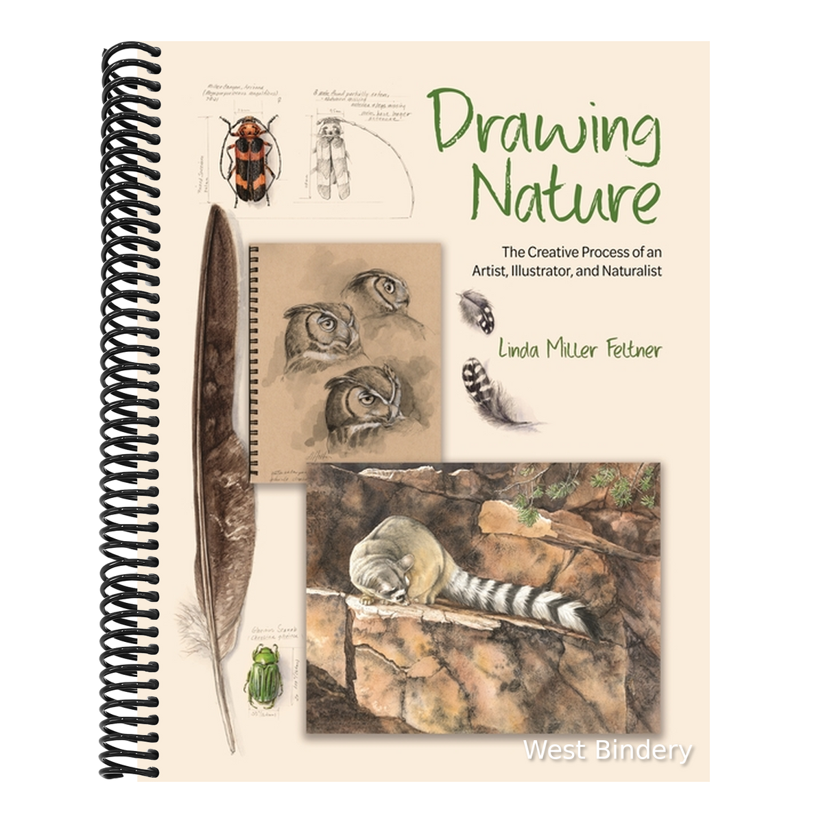 Drawing Nature: The Creative Process of an Artist, Illustrator, and Naturalist