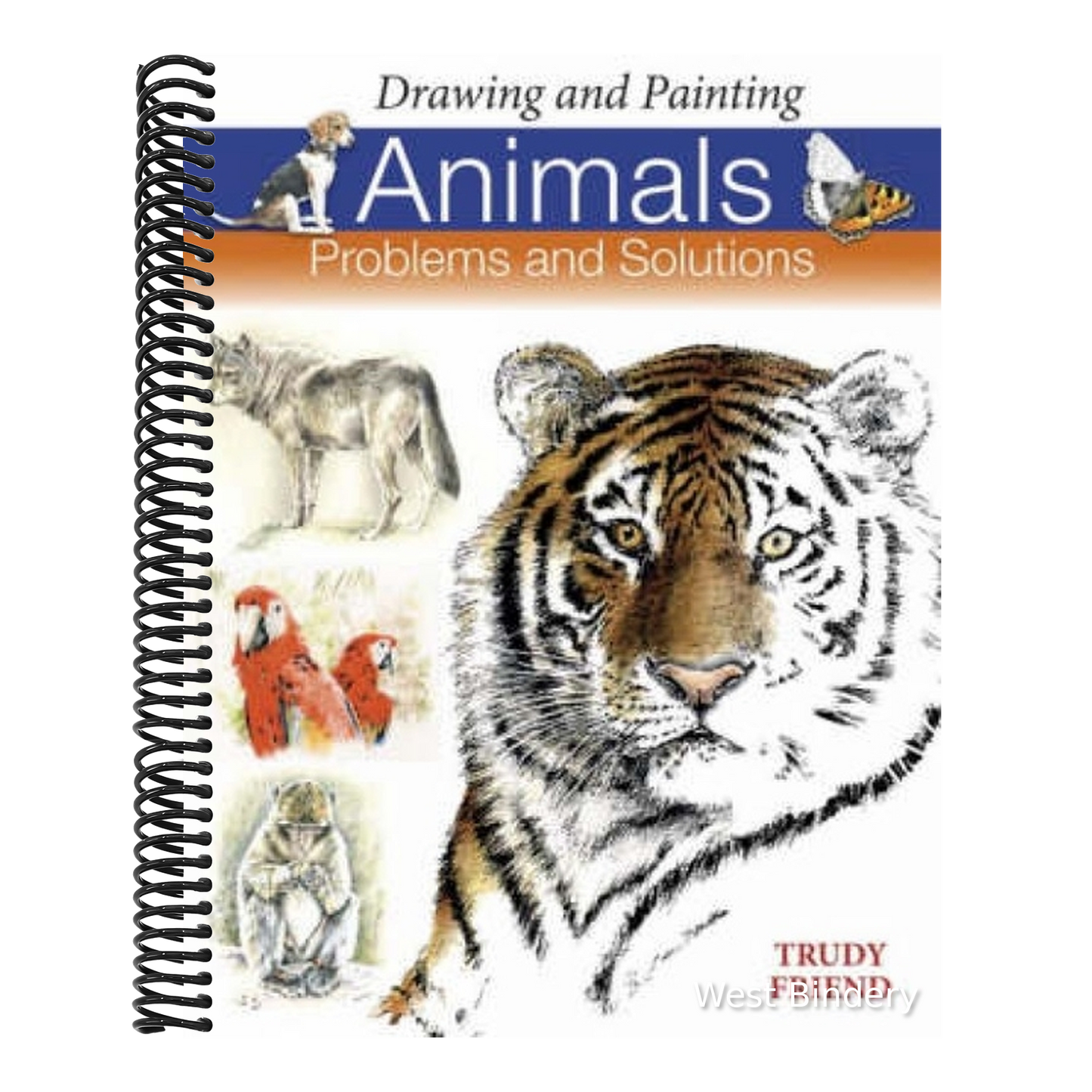 Drawing and Painting Animals: Problems and Solutions
