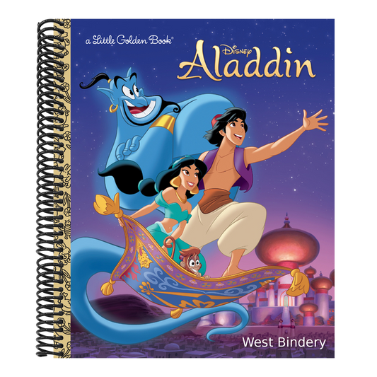 Aladdin (Disney Aladdin) (Special)