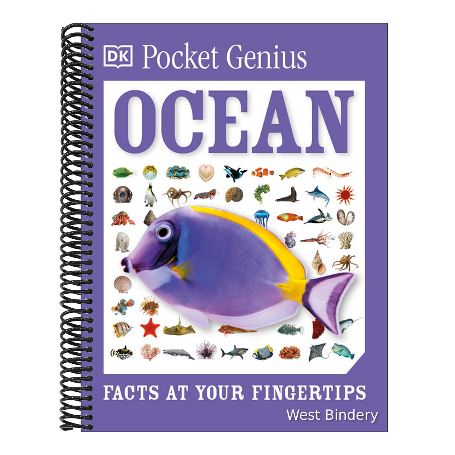 Pocket Genius Ocean