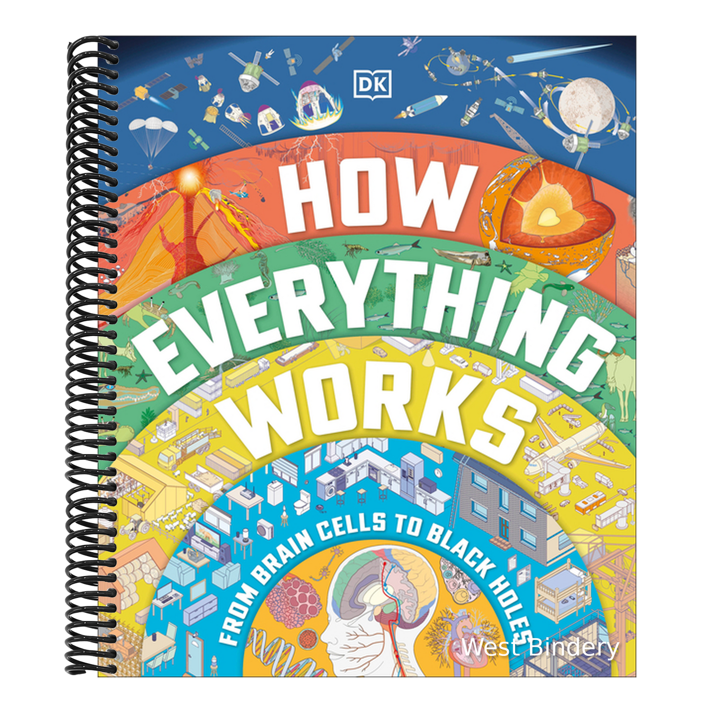 How Everything Works: From Brain Cells to Black Holes