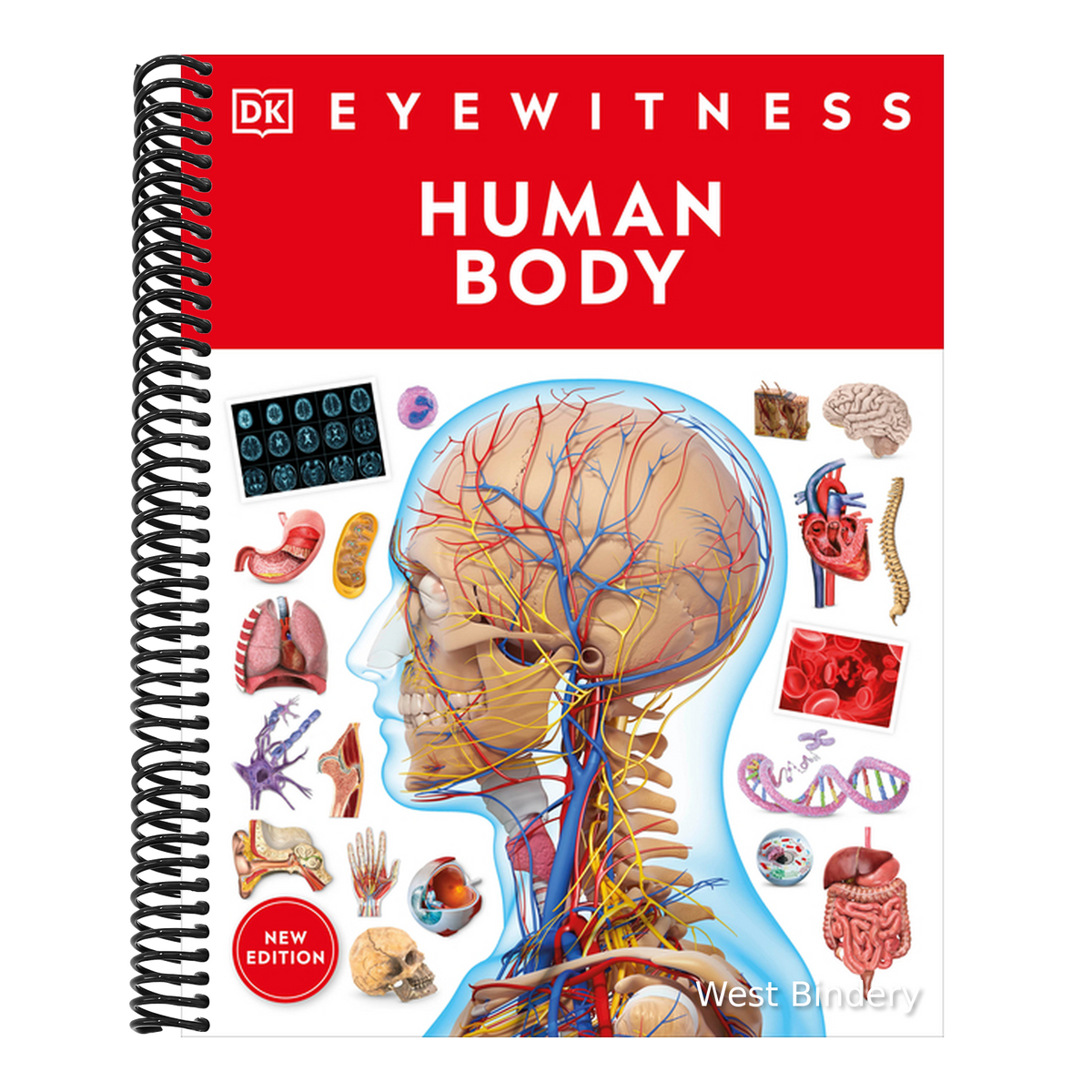 Eyewitness Human Body