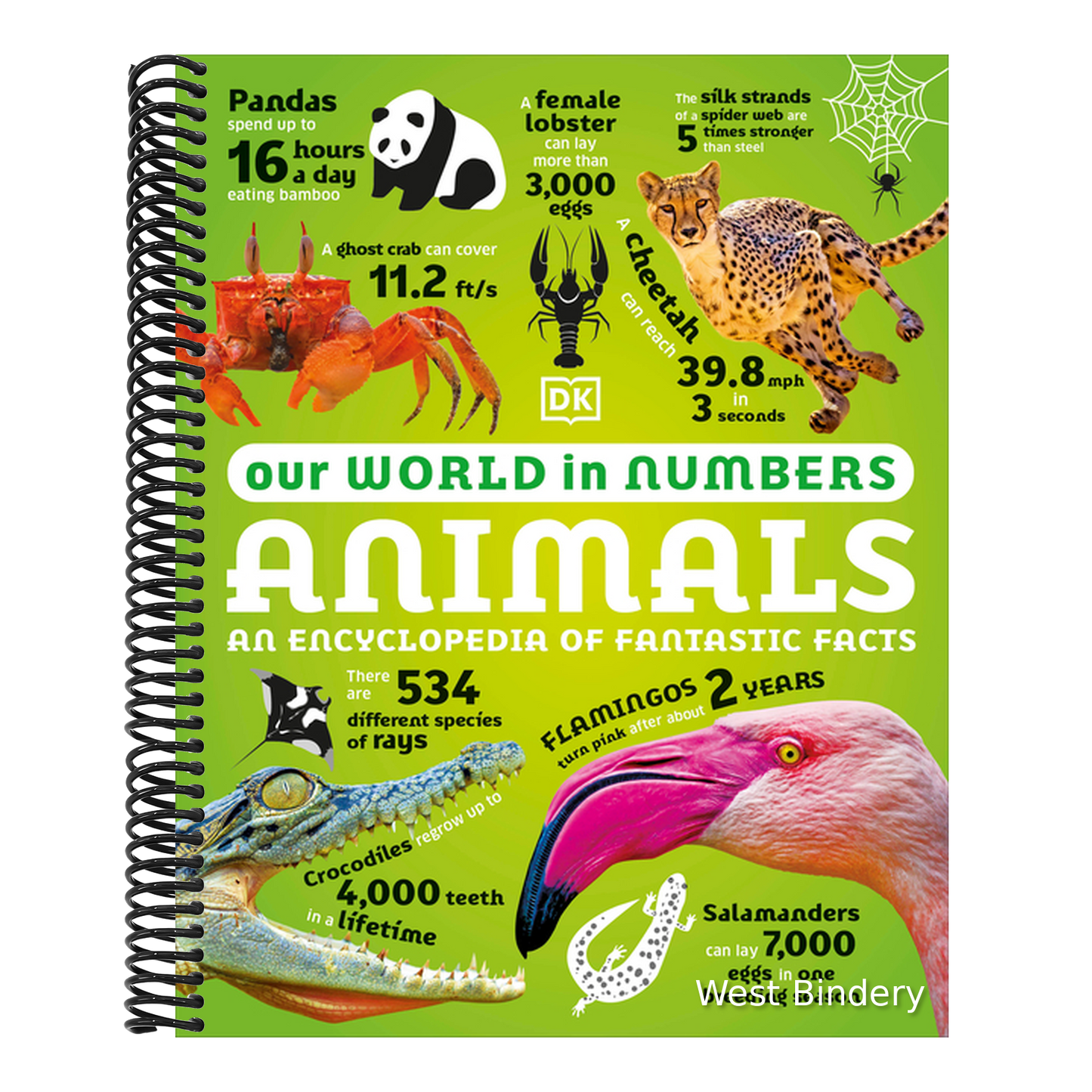 Our World in Numbers Animals: An Encyclopedia of Fantastic Facts