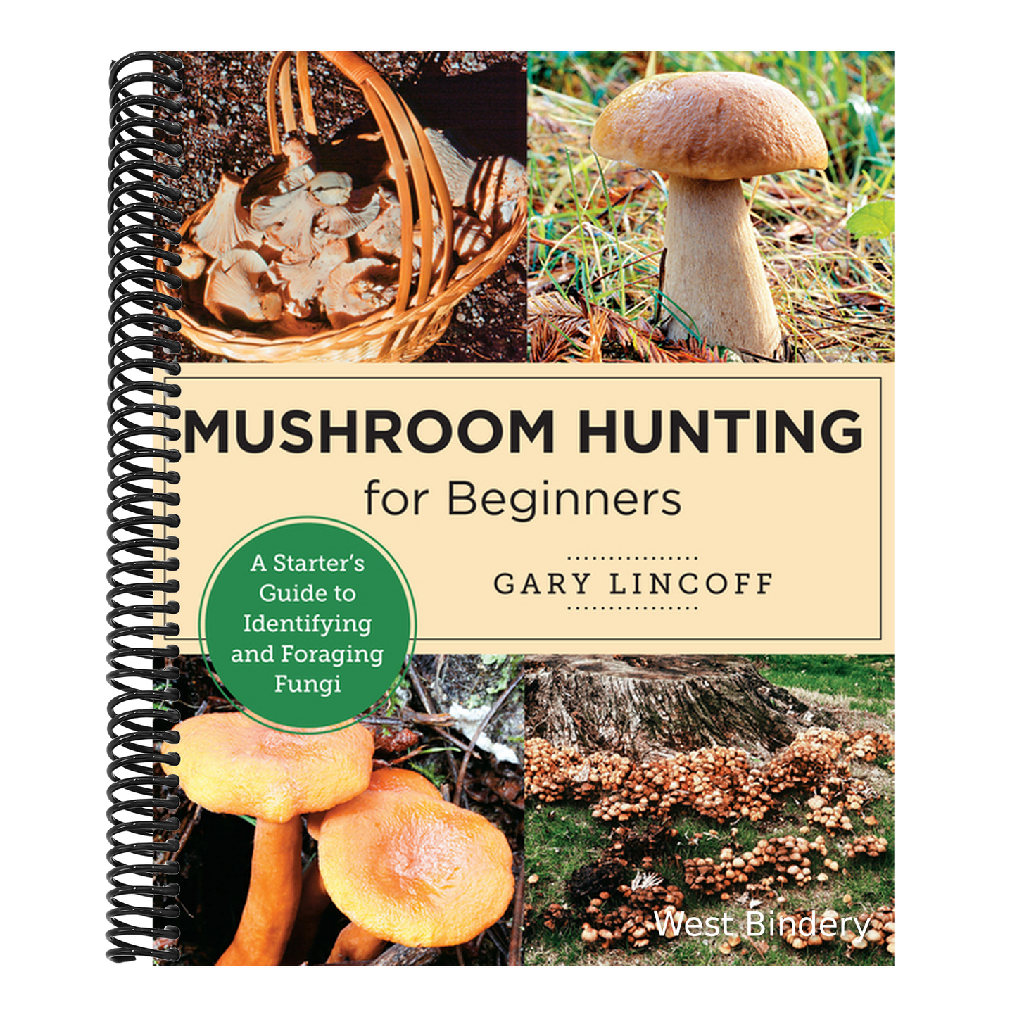 Mushroom Hunting for Beginners: A Starter's Guide to Identifying and Foraging Fungi
