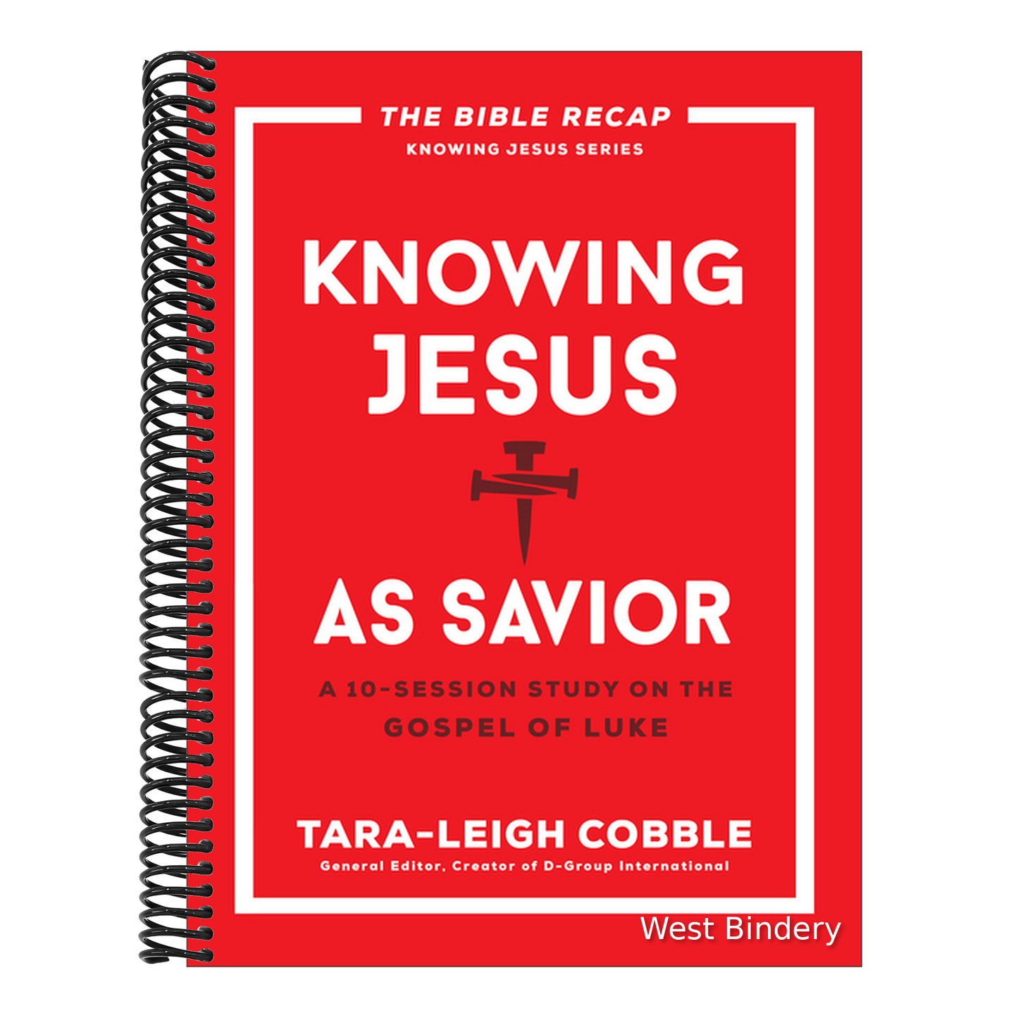 Knowing Jesus as Savior: A 10-Session Study on the Gospel of Luke