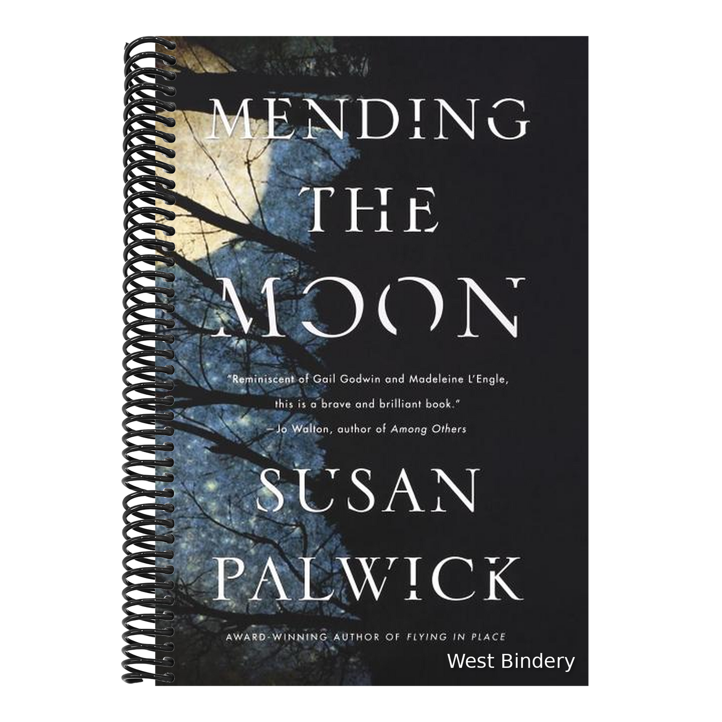 Mending the Moon