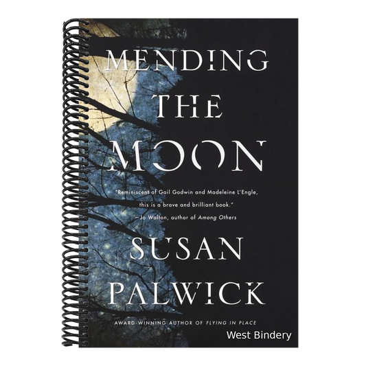 Mending the Moon
