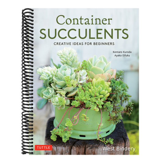 Container Succulents: Creative Ideas for Beginners