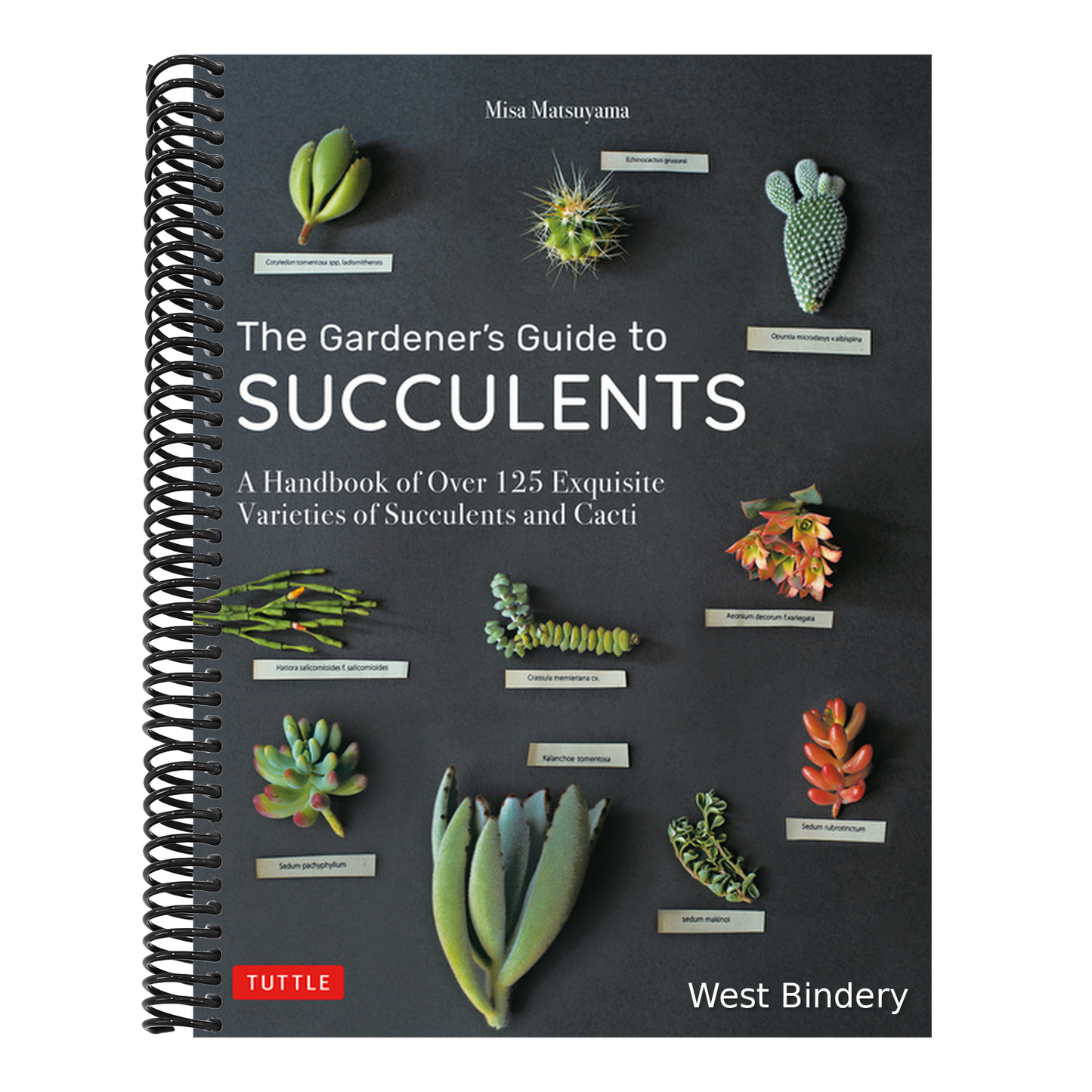 The Gardener's Guide to Succulents: A Handbook of Over 125 Exquisite Varieties of Succulents and Cacti
