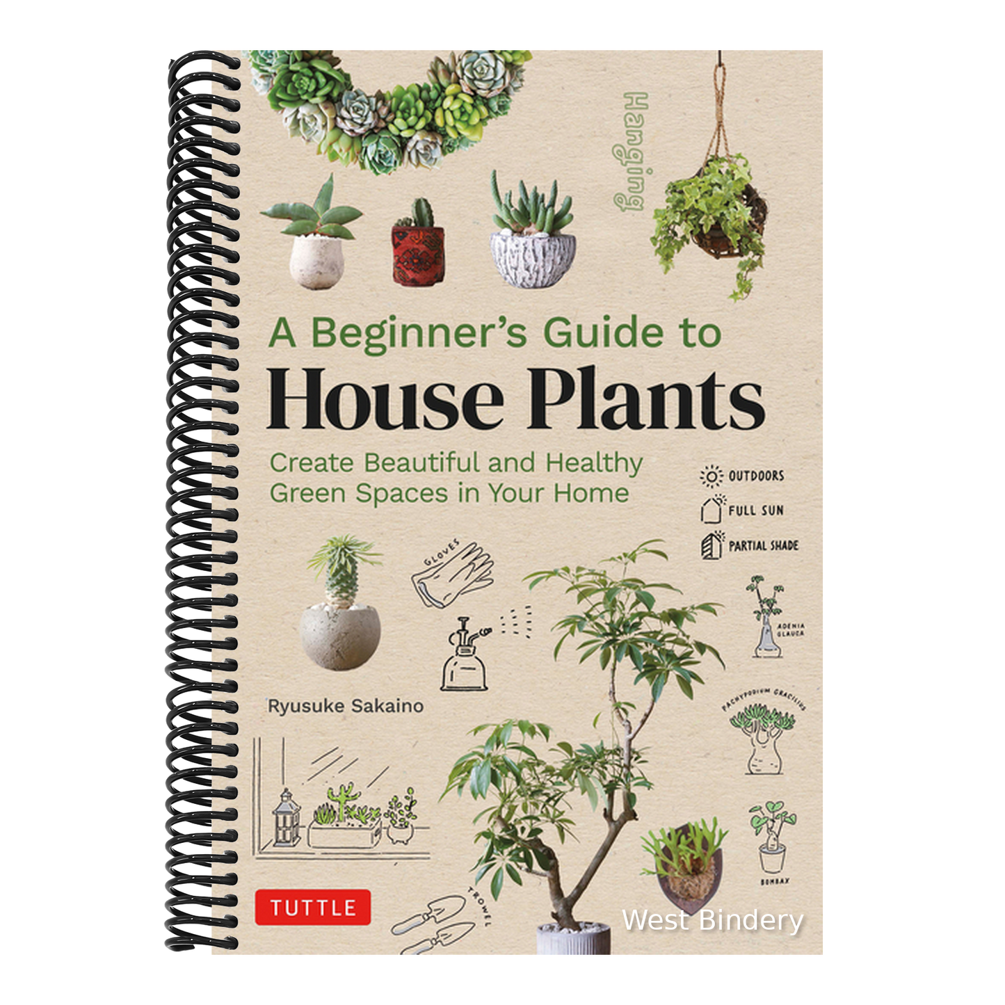 A Beginner's Guide to House Plants: Creating Beautiful and Healthy Green Spaces in Your Home