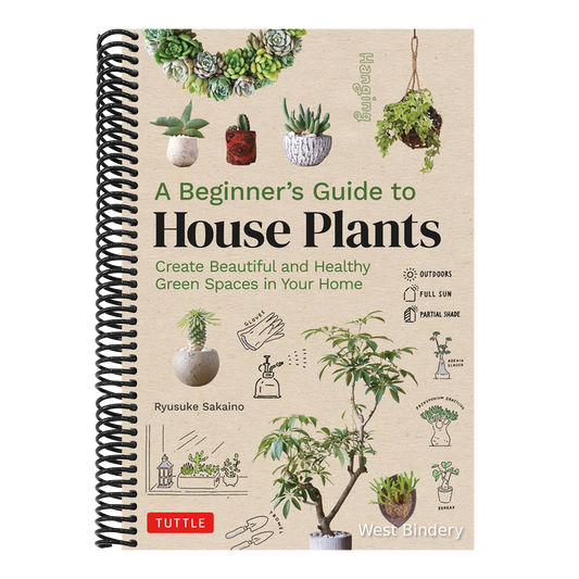 A Beginner's Guide to House Plants: Creating Beautiful and Healthy Green Spaces in Your Home