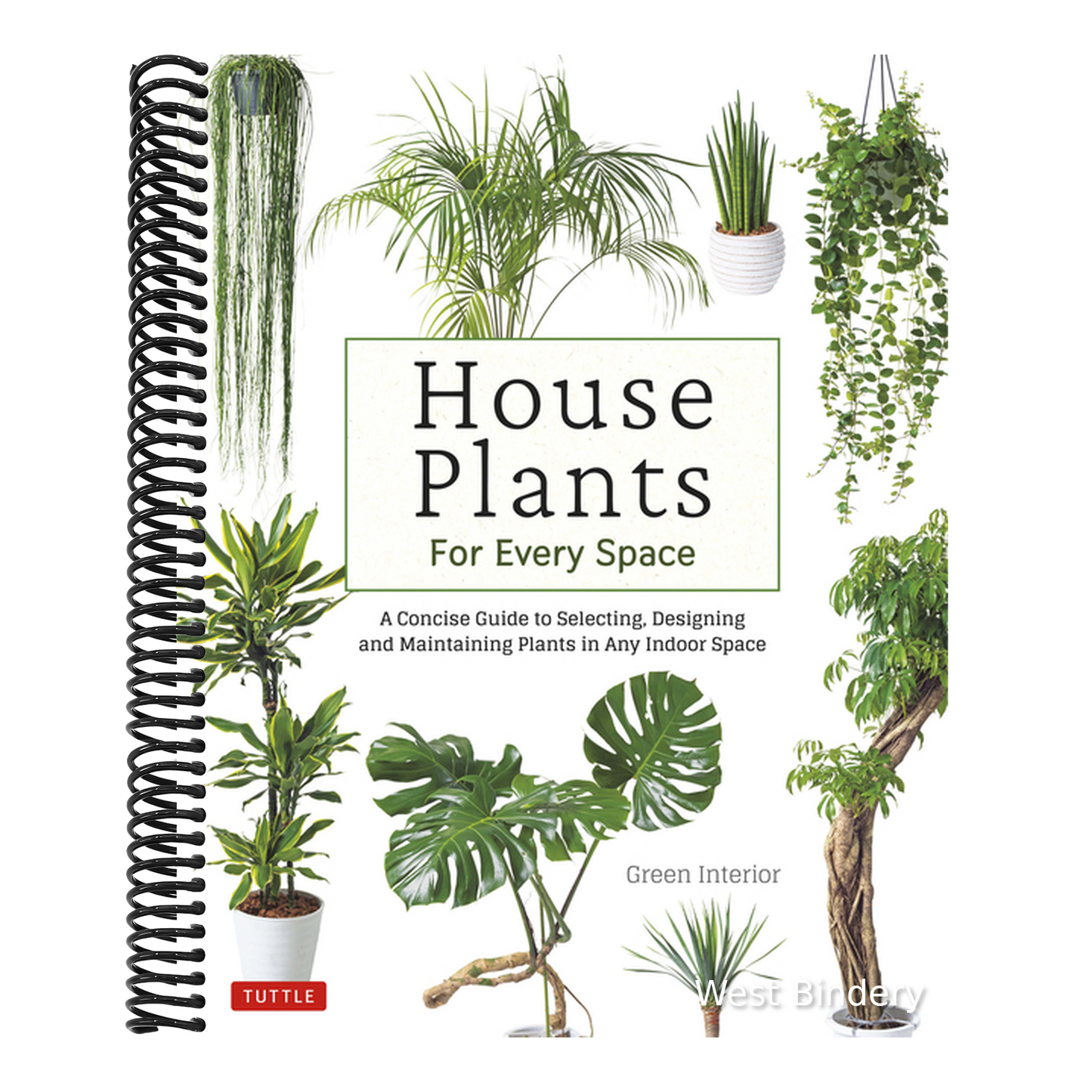 House Plants for Every Space: A Concise Guide to Selecting, Designing and Maintaining Plants in Any Indoor Space
