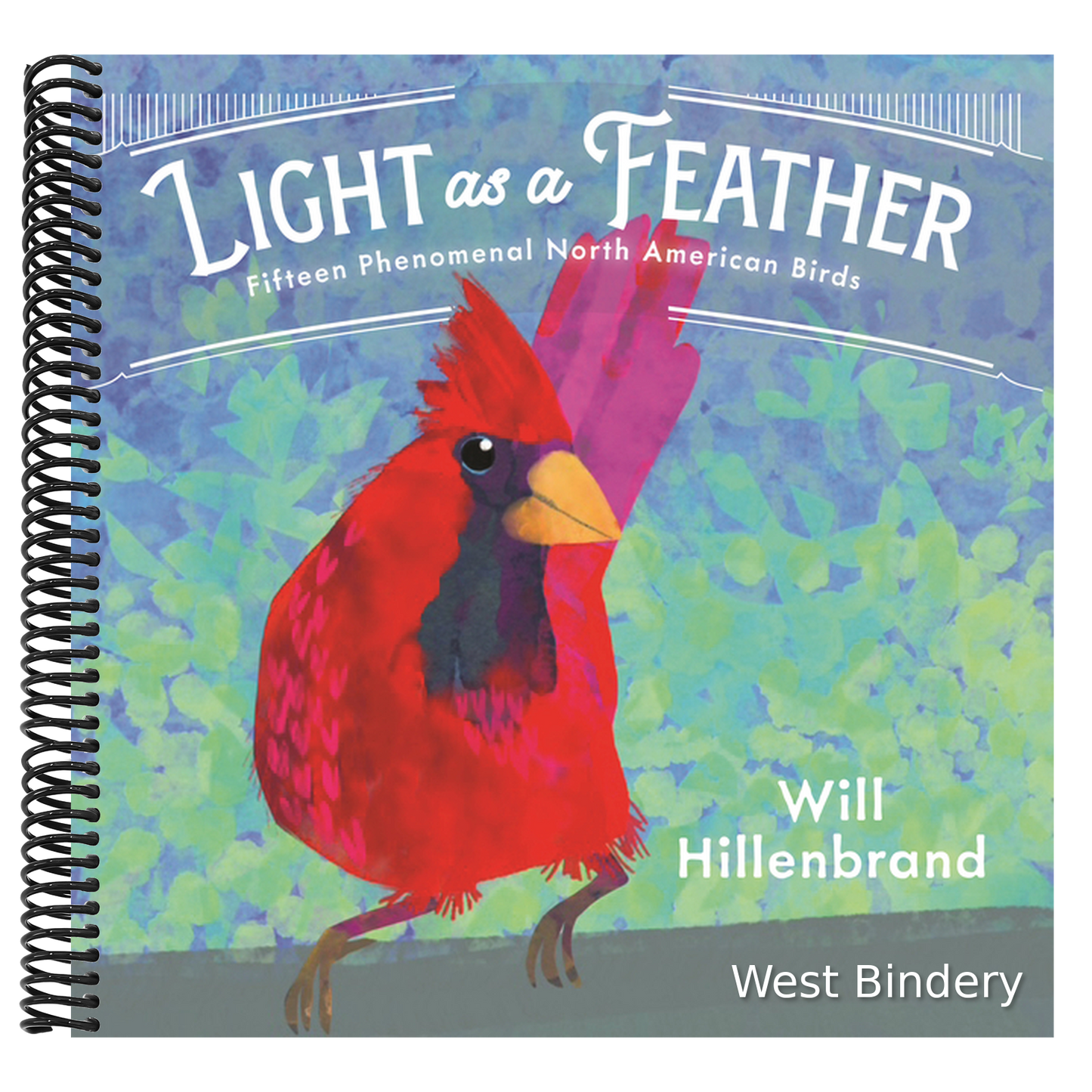 Light as a Feather: Fifteen Phenomenal North American Birds