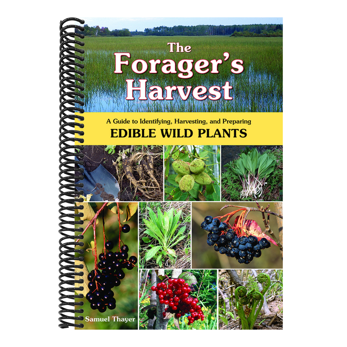 The Forager's Harvest: A Guide to Identifying, Harvesting, and Preparing Edible Wild Plants (Spiral Bound)