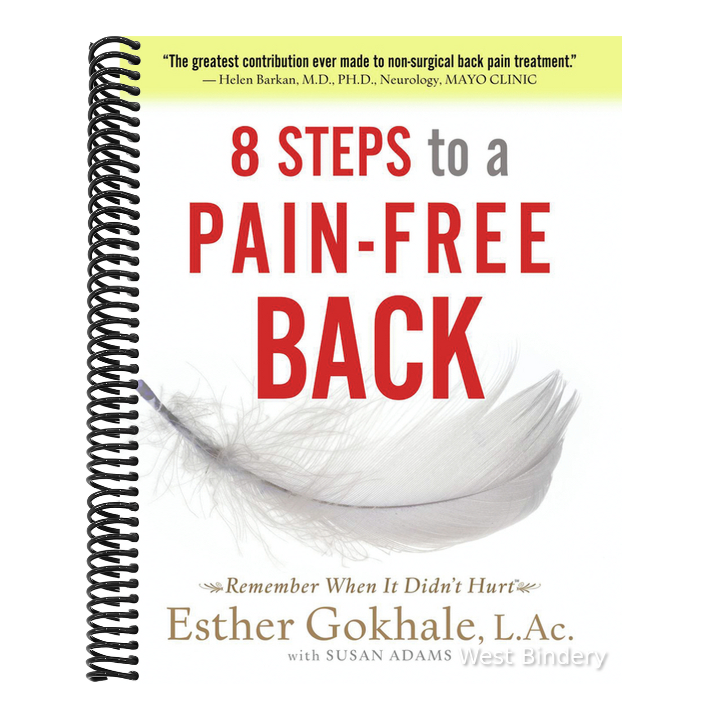 8 Steps to a Pain-Free Back: Natural Posture Solutions for Pain in the Back, Neck, Shoulder, Hip, Knee, and Foot