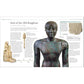 Ancient Egypt: The Definitive Visual History