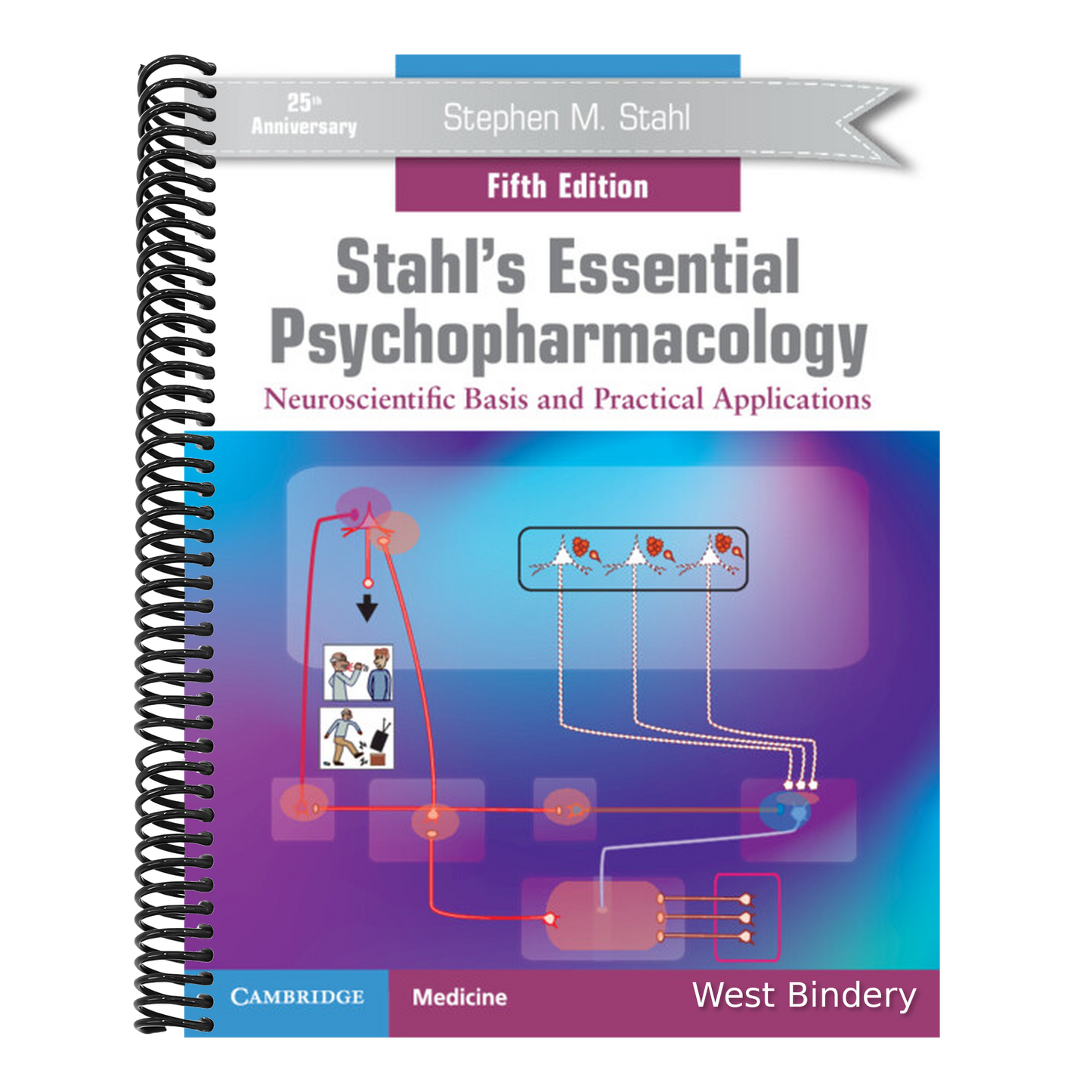 Stahl's Essential Psychopharmacology: Neuroscientific Basis and Practical Applications (Revised)