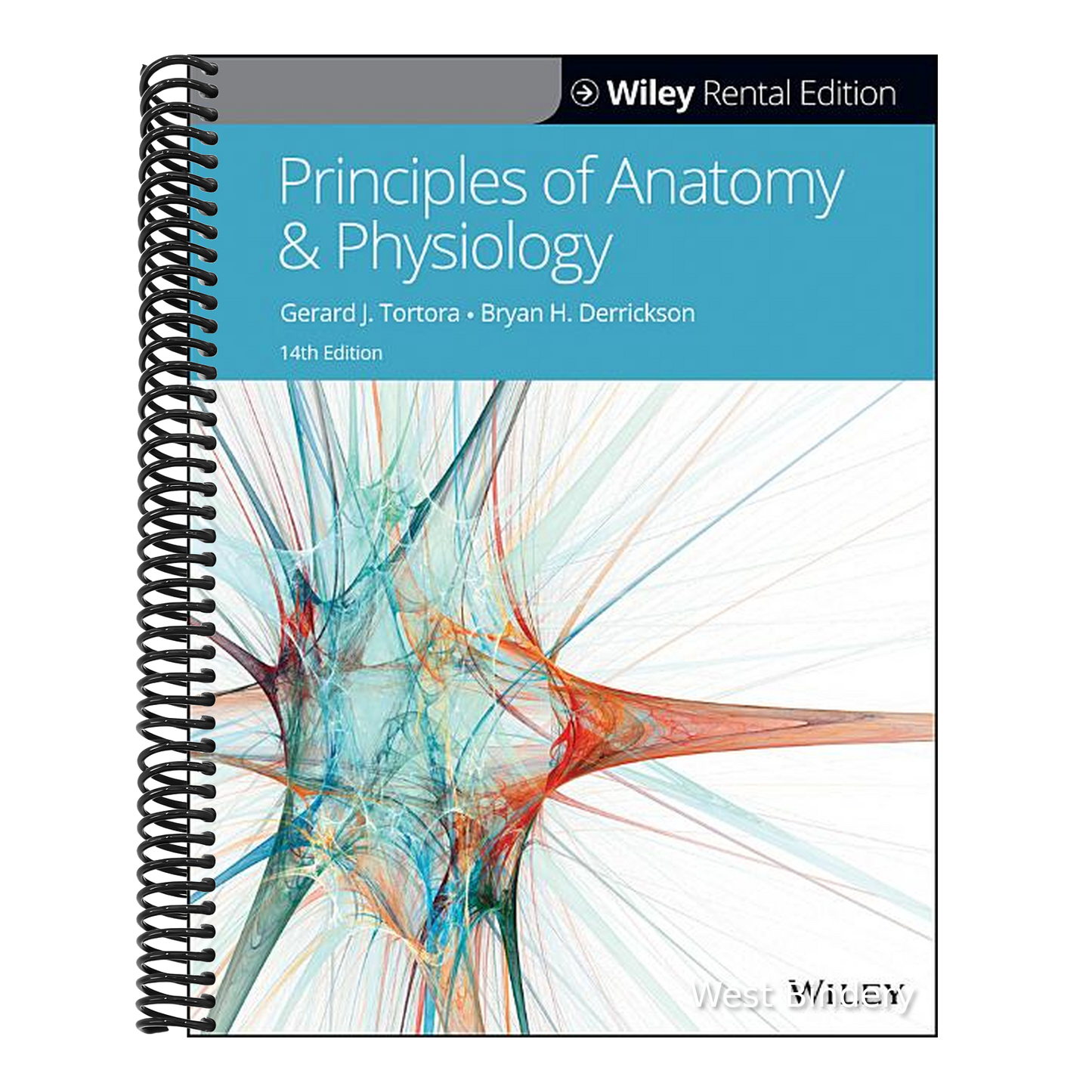 Principles of Anatomy and Physiology