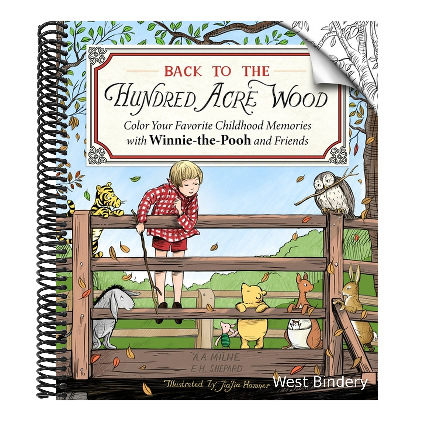 Back to the Hundred Acre Wood: Color Your Favorite Childhood Memories with Winnie-The-Pooh and Friends