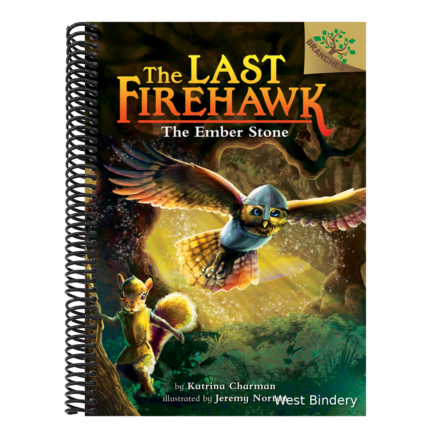 The Ember Stone: A Branches Book (the Last Firehawk #1): Volume 1 (Library)