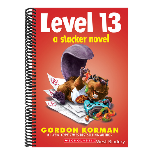 Level 13 (a Slacker Novel)