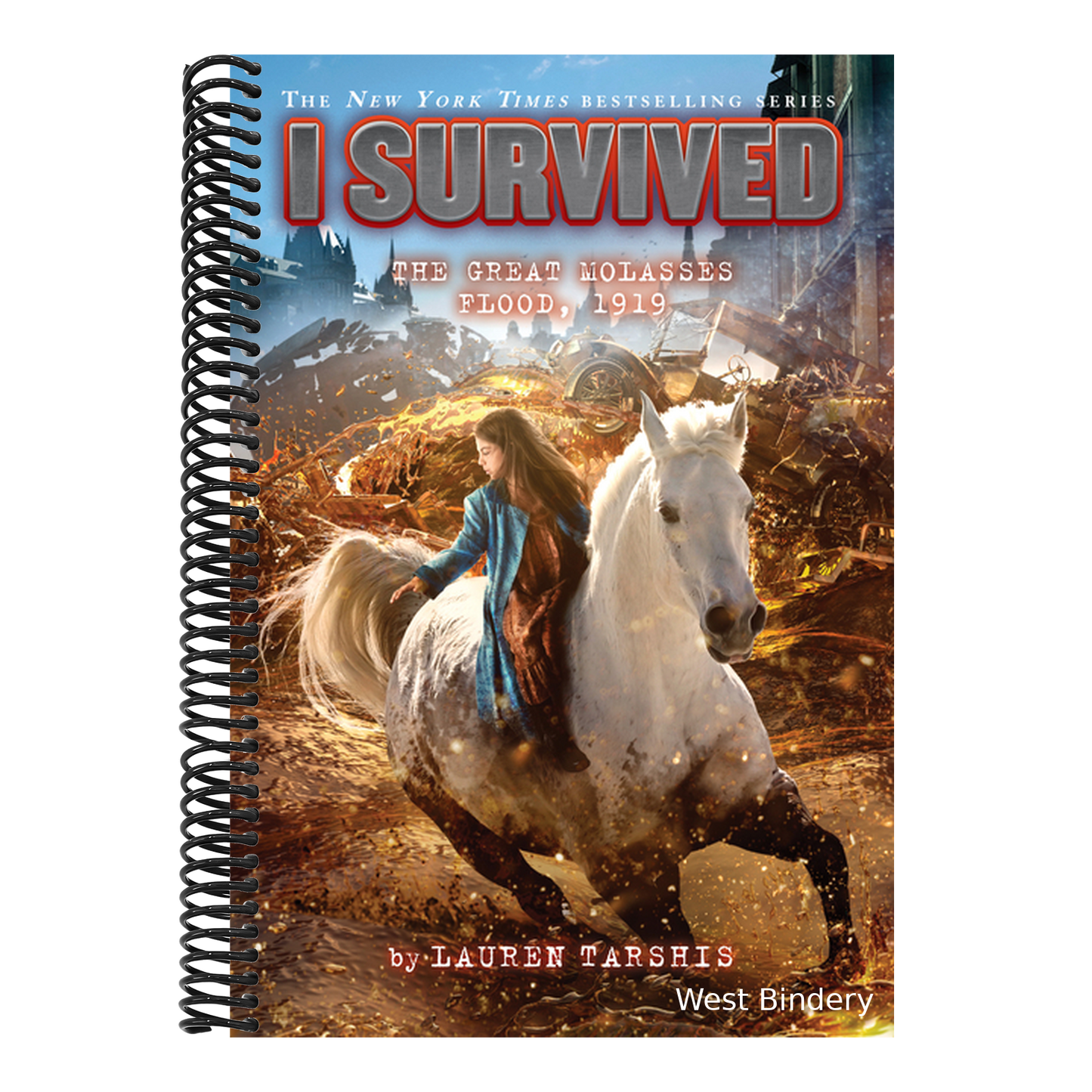 I Survived the Great Molasses Flood, 1919 (I Survived #19): Volume 19