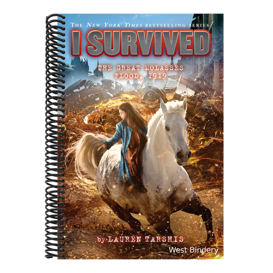 I Survived the Great Molasses Flood, 1919 (I Survived #19): Volume 19
