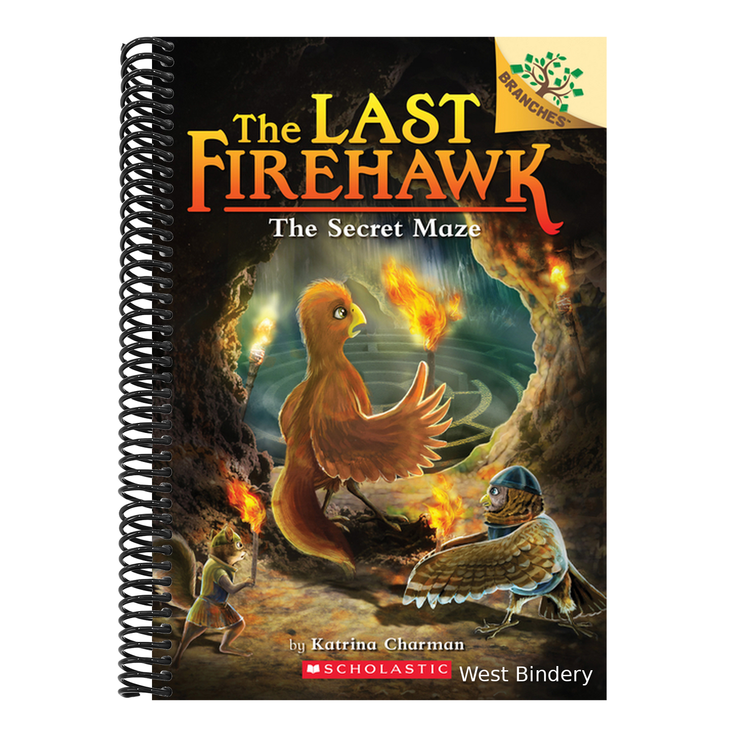 The Secret Maze: A Branches Book (the Last Firehawk #10): Volume 10