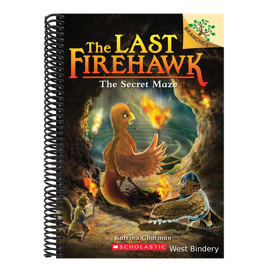 The Secret Maze: A Branches Book (the Last Firehawk #10): Volume 10