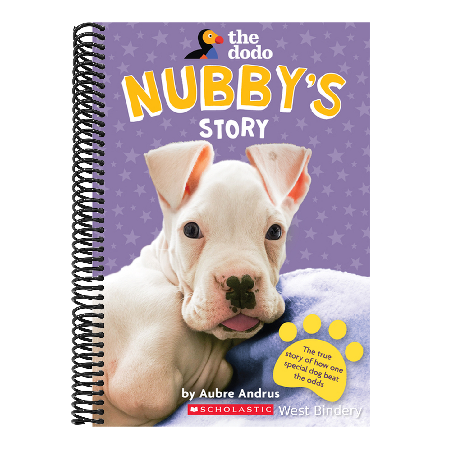 Nubby's Story (the Dodo)