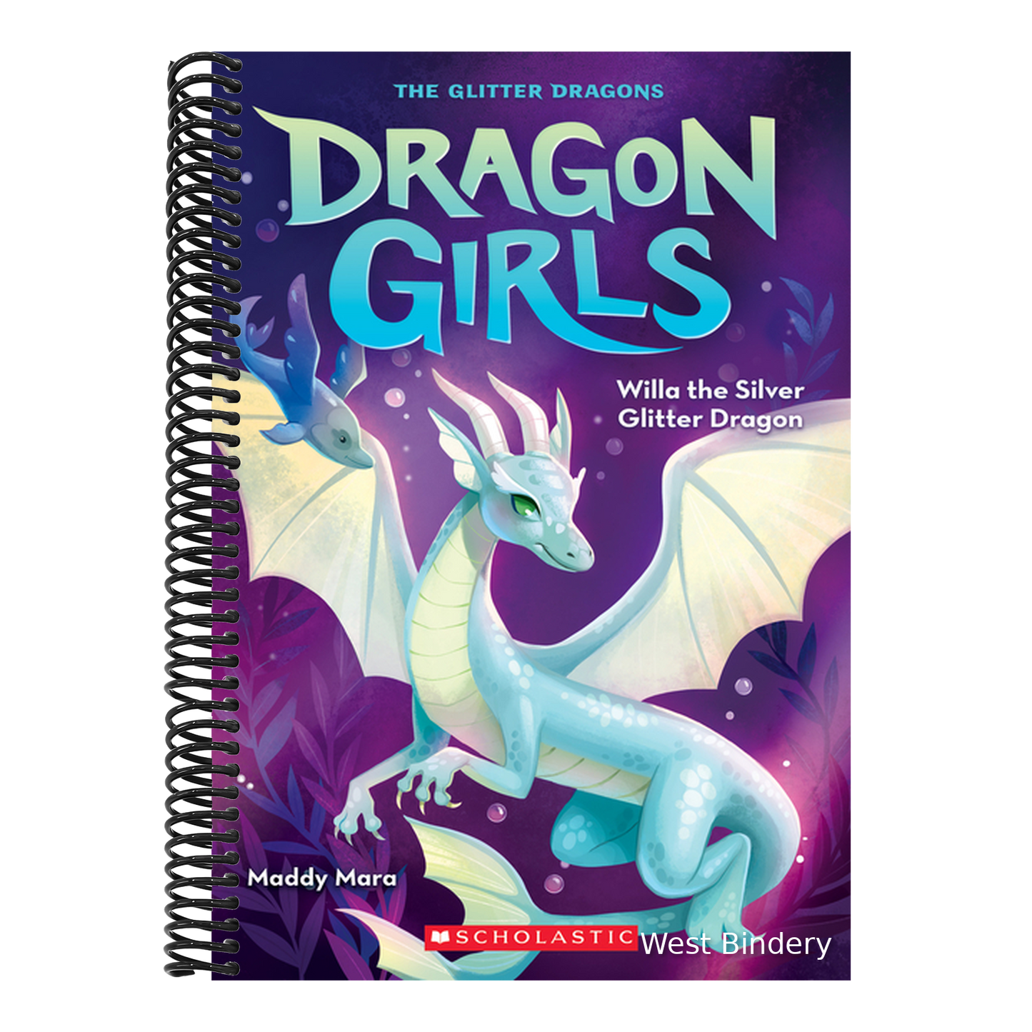 Willa the Silver Glitter Dragon (Dragon Girls #2): Volume 2