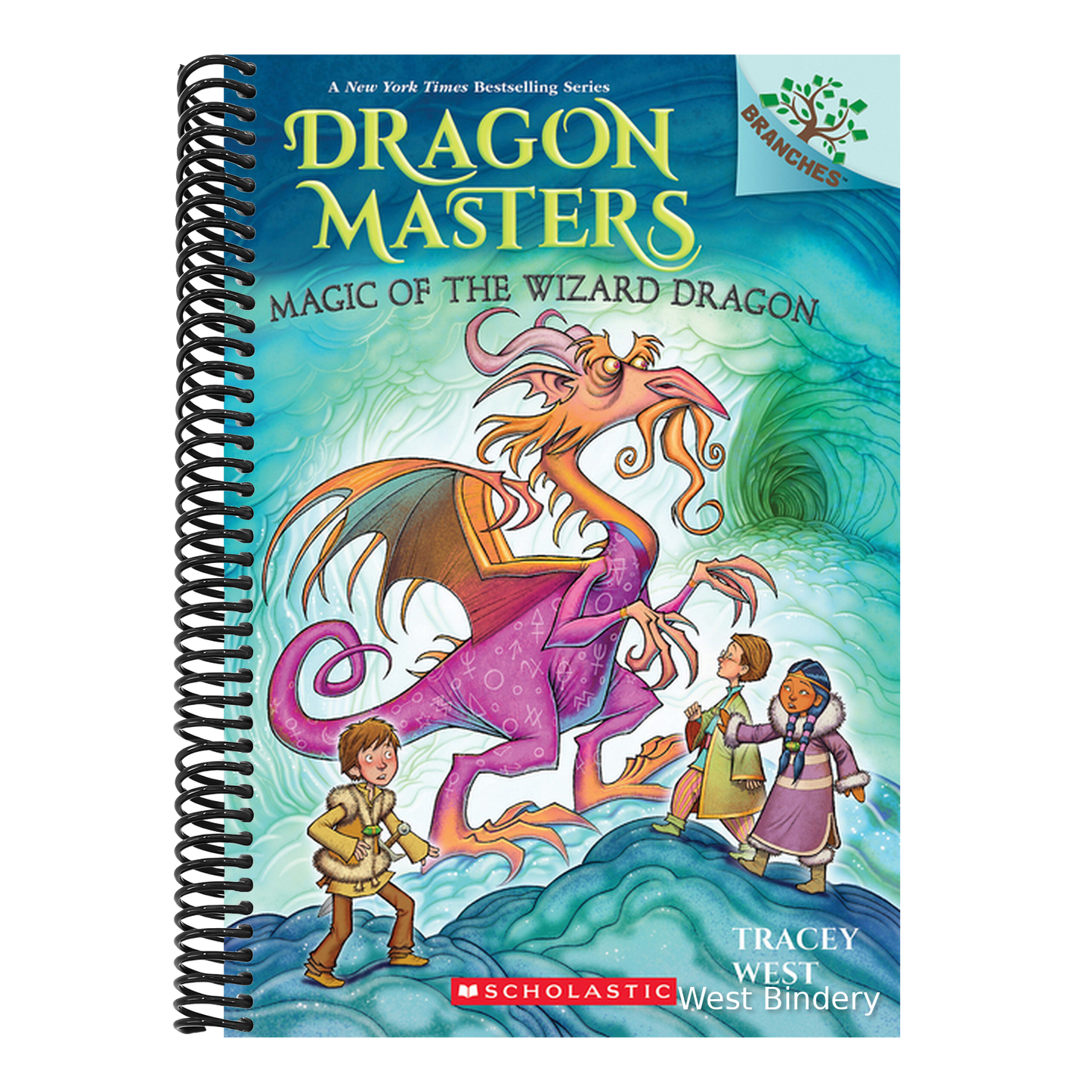 Magic of the Wizard Dragon: A Branches Book (Dragon Masters #29)