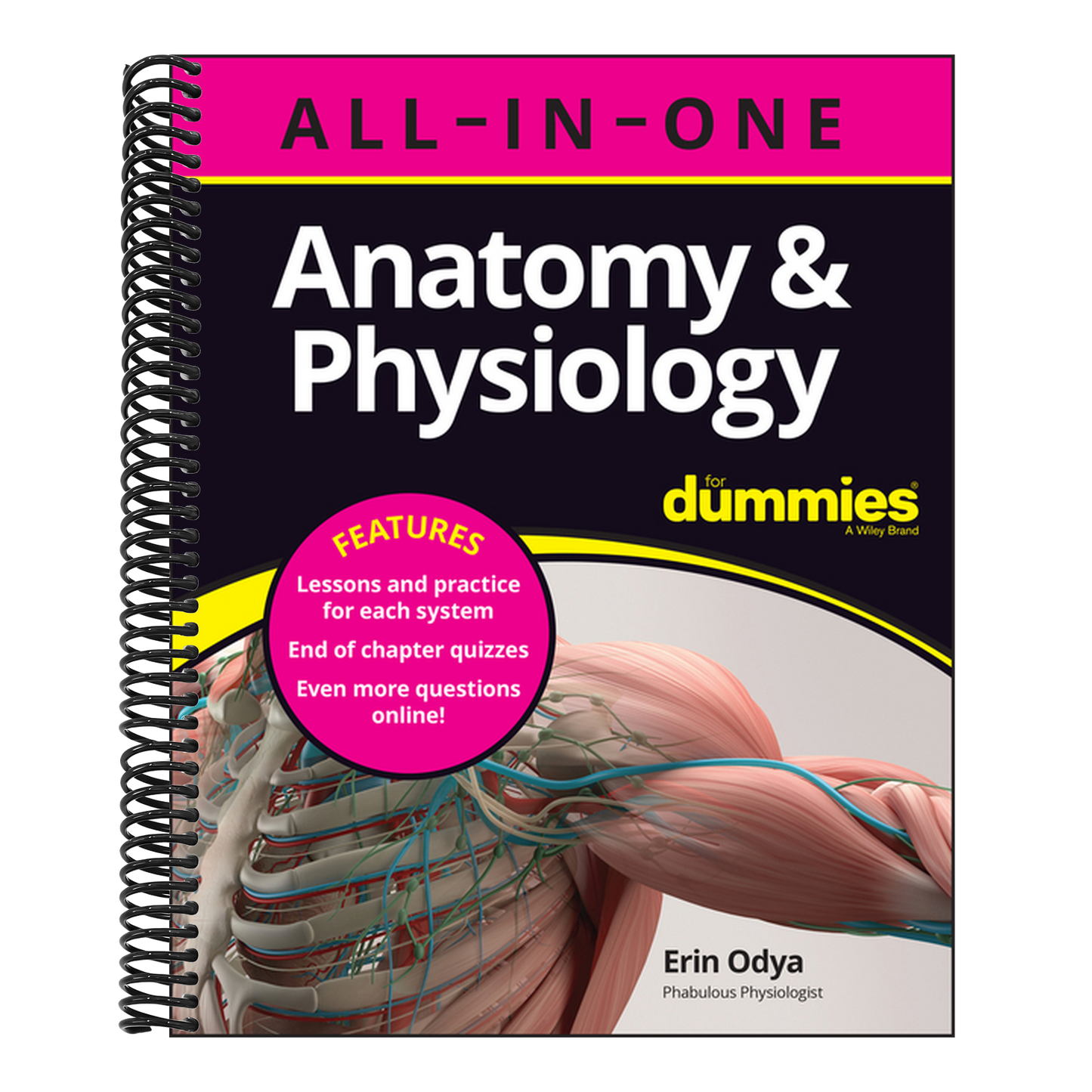 Anatomy & Physiology All-In-One for Dummies (+ Chapter Quizzes Online)
