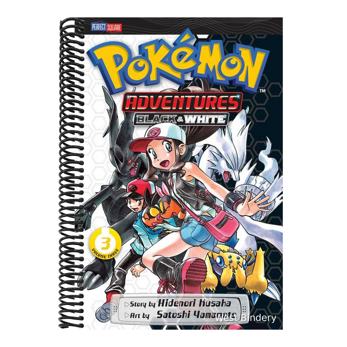 Pokémon Adventures: Black and White, Vol. 3