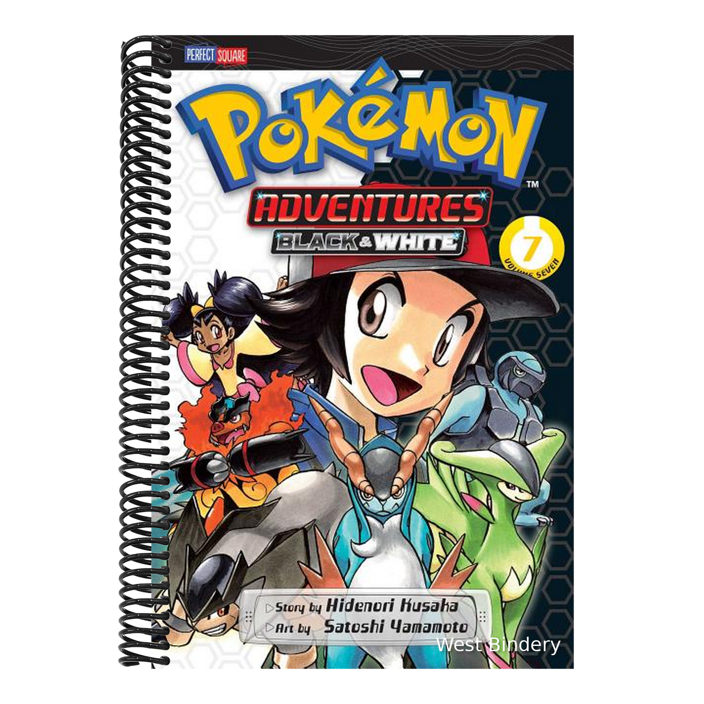 Pokémon Adventures: Black and White, Vol. 7