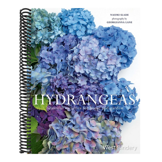 Hydrangeas: Beautiful Varieties for Home and Garden